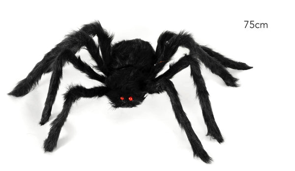 Big Fury Spider (75cm)